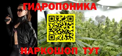 гашик Ливны