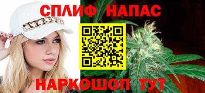 гашик Ливны