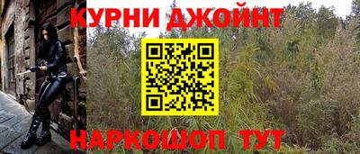 гашик Ливны