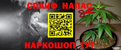 гашик Ливны