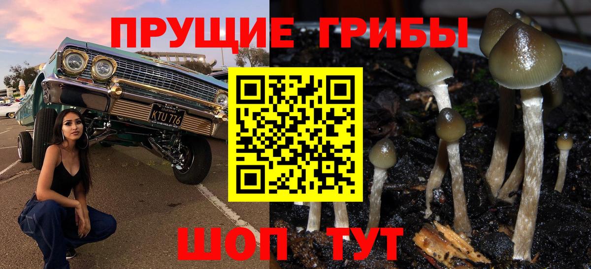 Галлюциногенные грибы Psilocybine cubensis Алушта